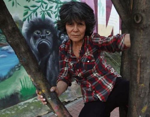 Marina Chapman fue criada por monos durante cinco años tras ser secuestrada y abandonada. Fuente: X (@Morbidful)
